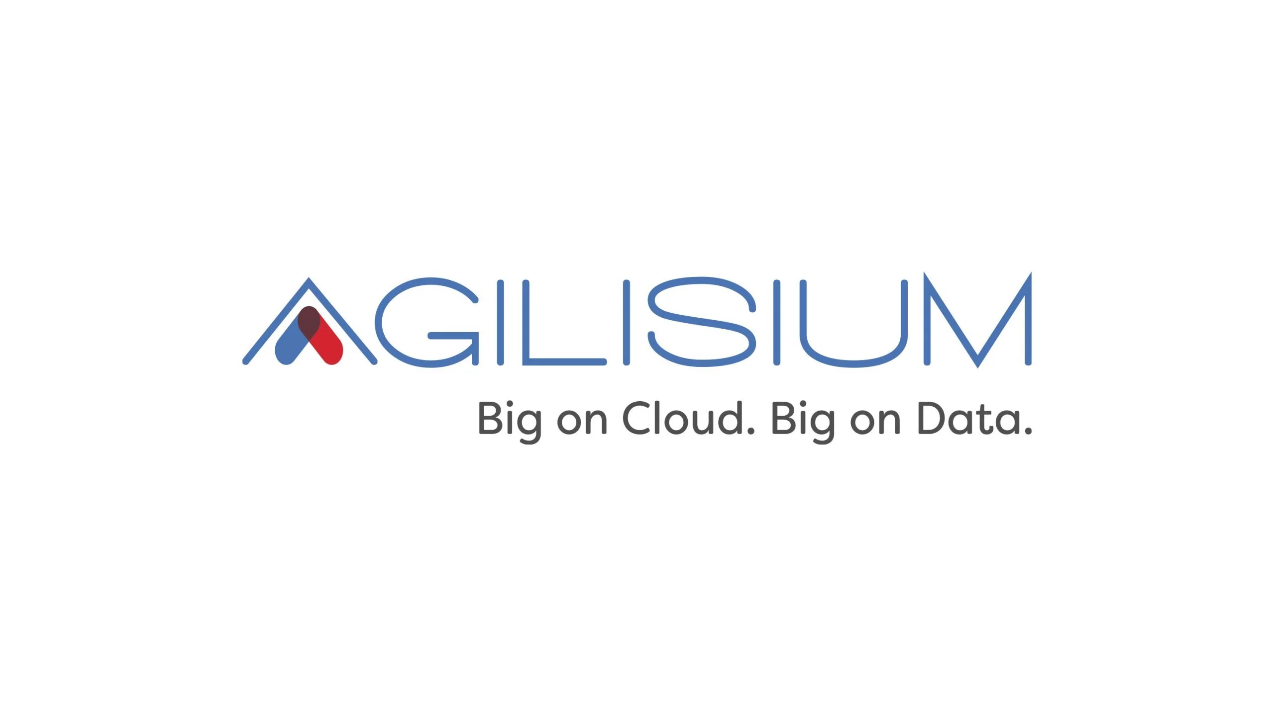 agilisium-consulting